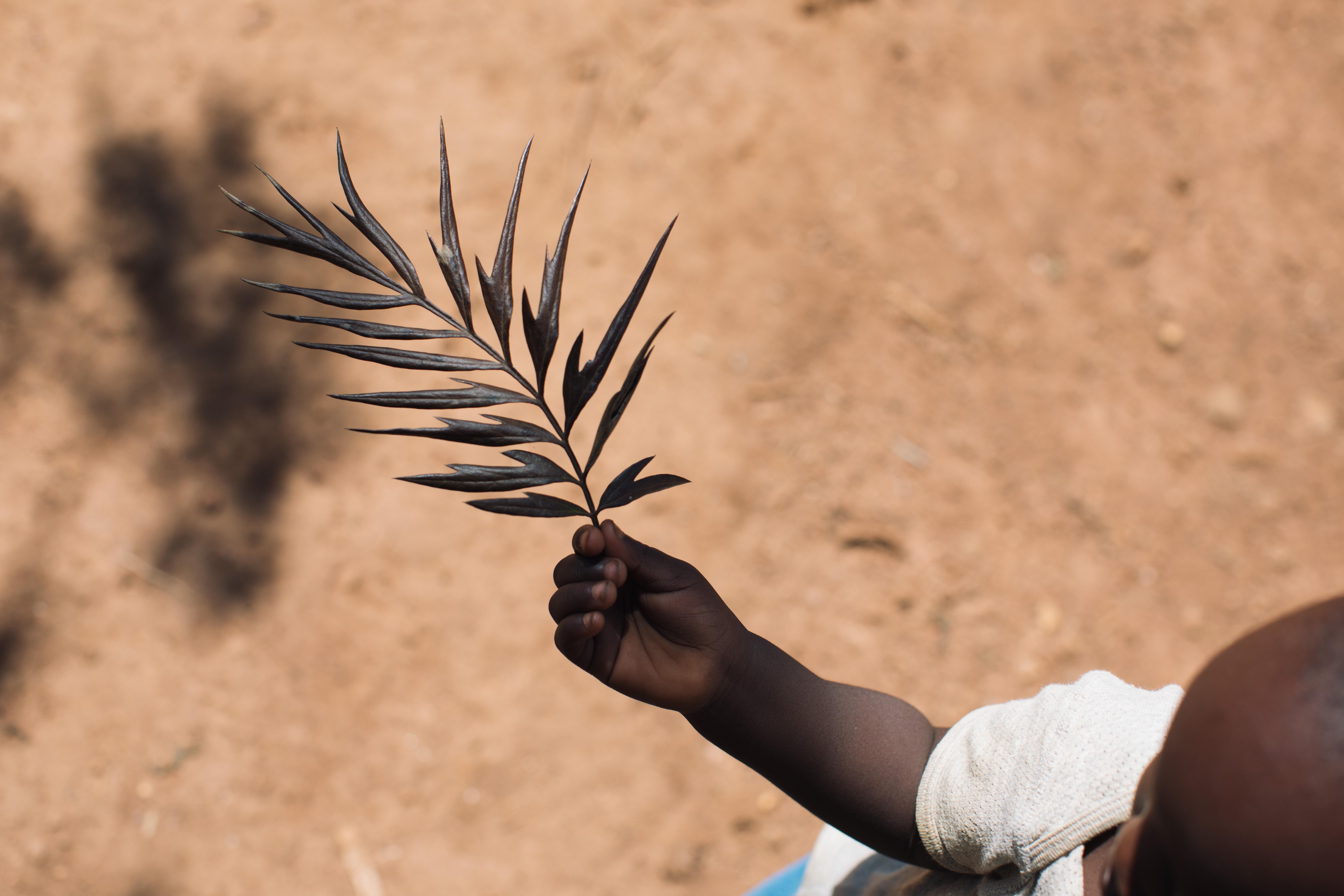 CH1608695_Joseph, 2, holds a branch and plays outside his home, Bungoma