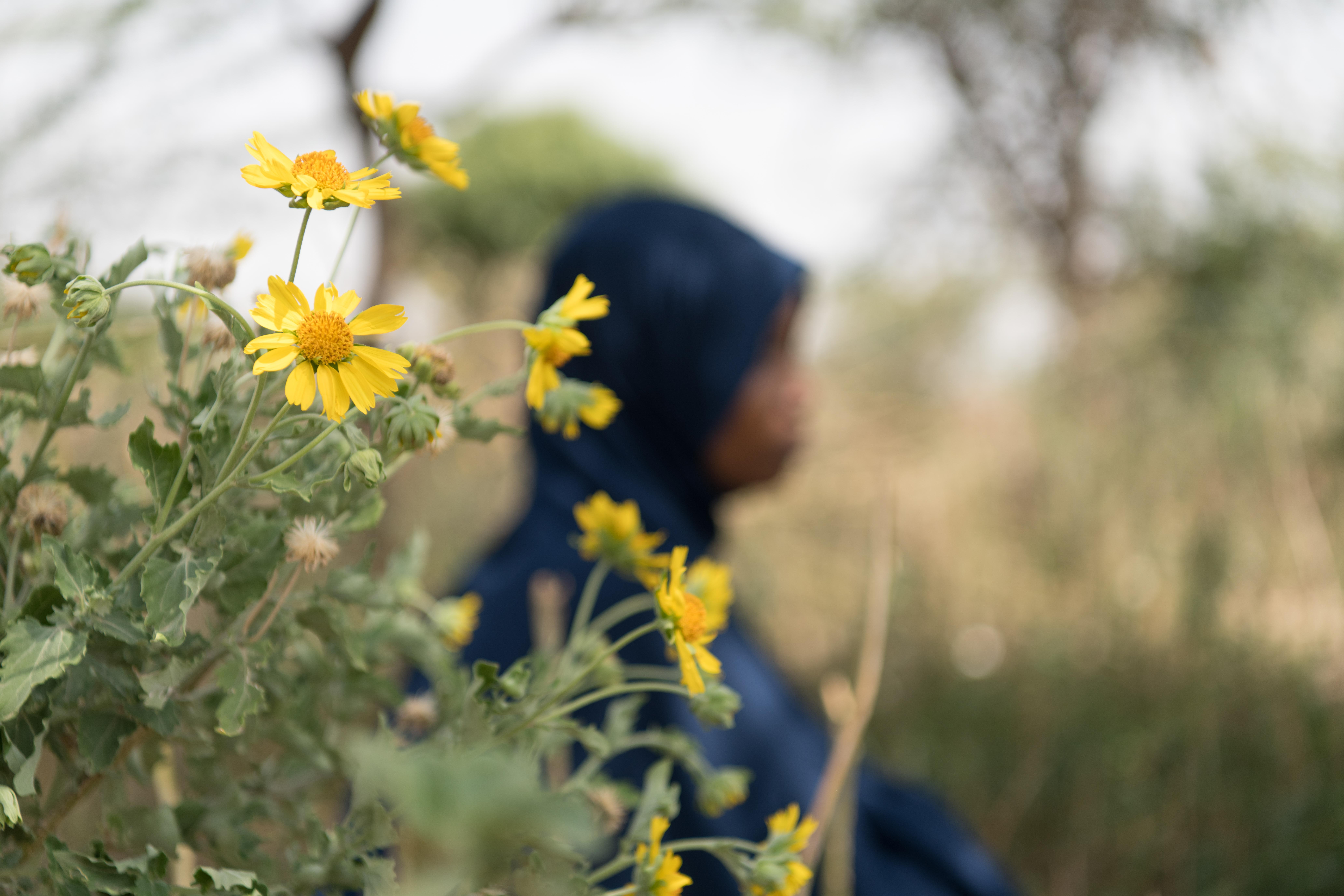 CH1869197_Aida, 20, near her home in a displacement camp in the Somali region, Ethiopia.