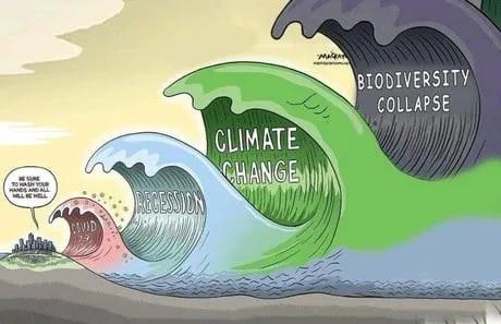 Editorial-style illustration depicting a series of increasingly large waves labeled ���COVID-19,��� ���Recession,��� ���Climate Change,��� and ���Biodiversity Collapse,��� approaching a shoreline.