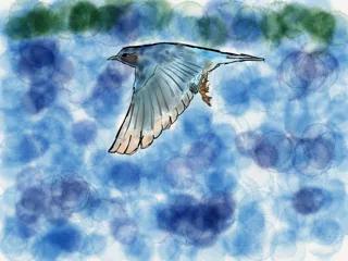 Artistic illustration of a white bird flying across a blue abstract background composed of soft circular patterns, carrying a small object in its claws.