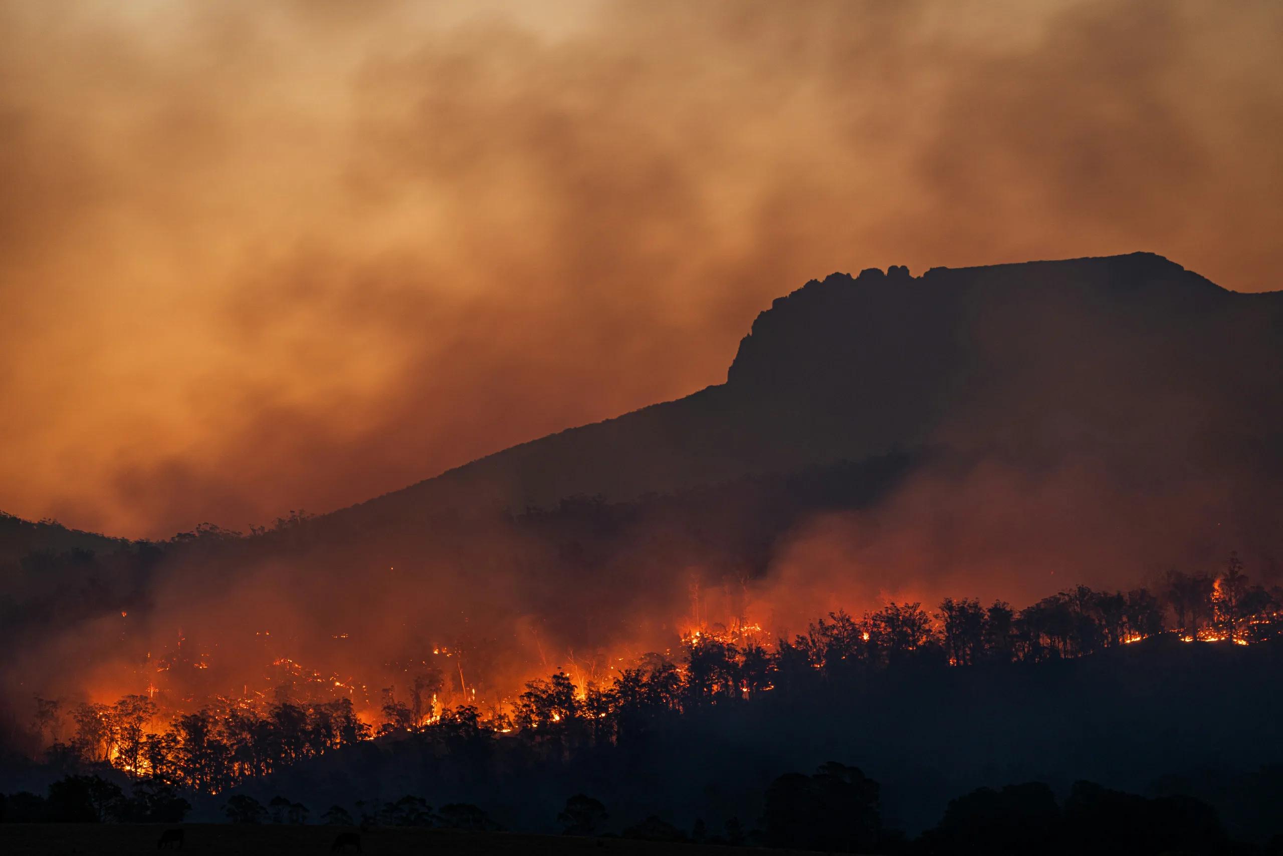 Wildfire burning across hillside at dusk photo ��� Image credit: Matt Palmer
