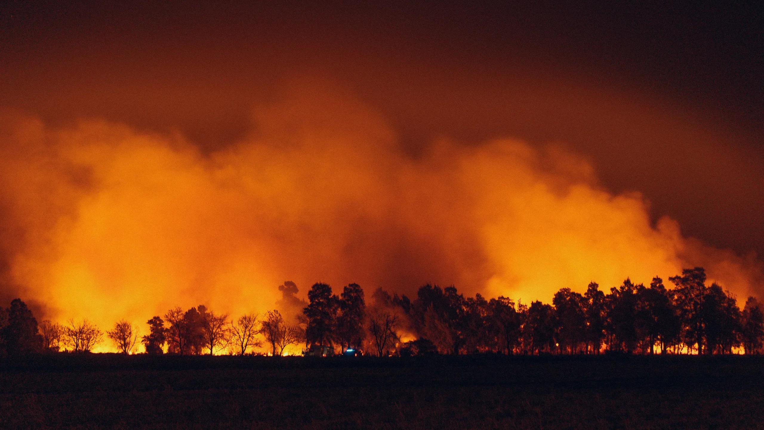 A large fire burning in a field next to a forest photo ��� image credit: Fachy Mar??n