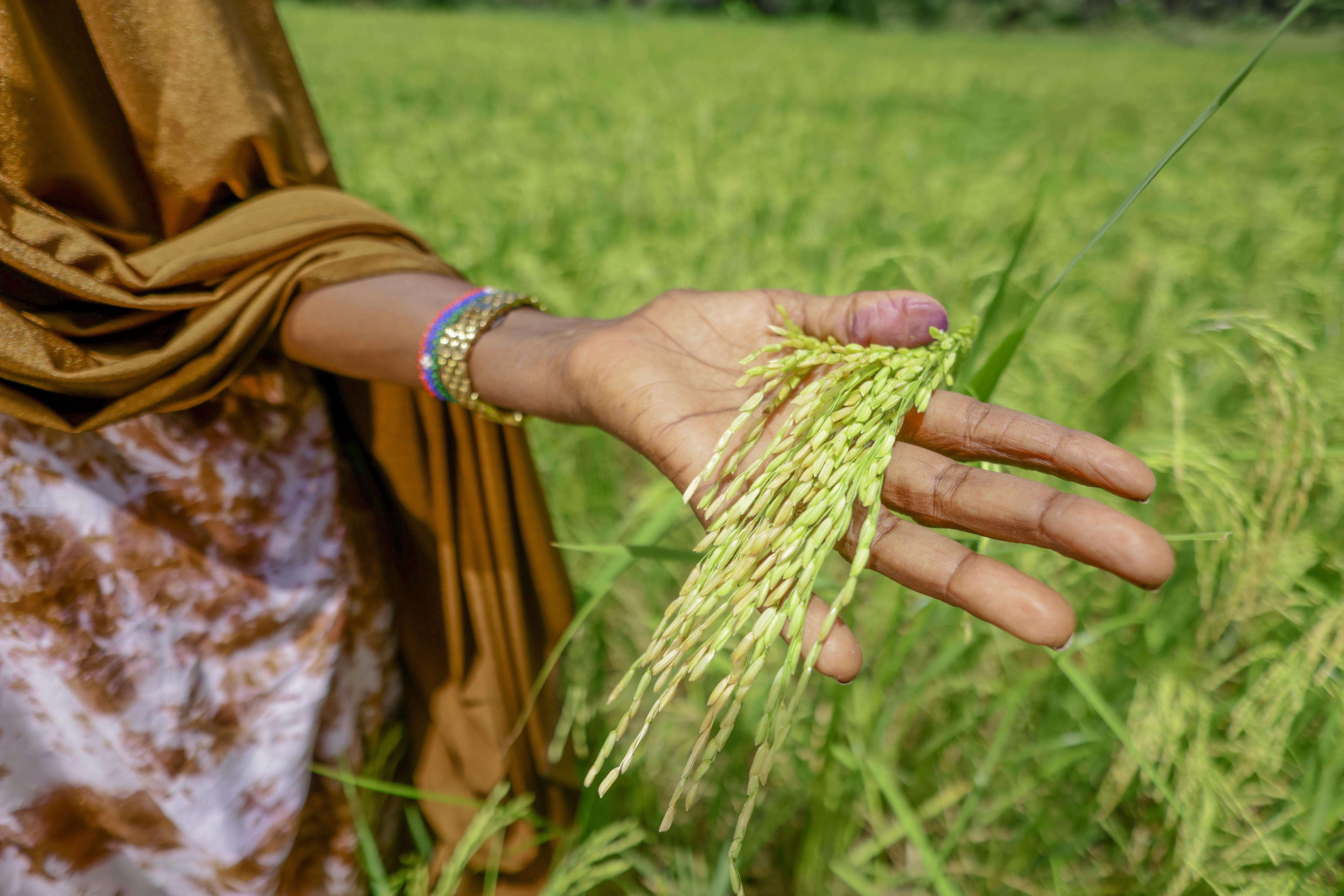 Ardo with crops on her farm where she grows rice and a variety of vegetables, Garissa, Kenya
