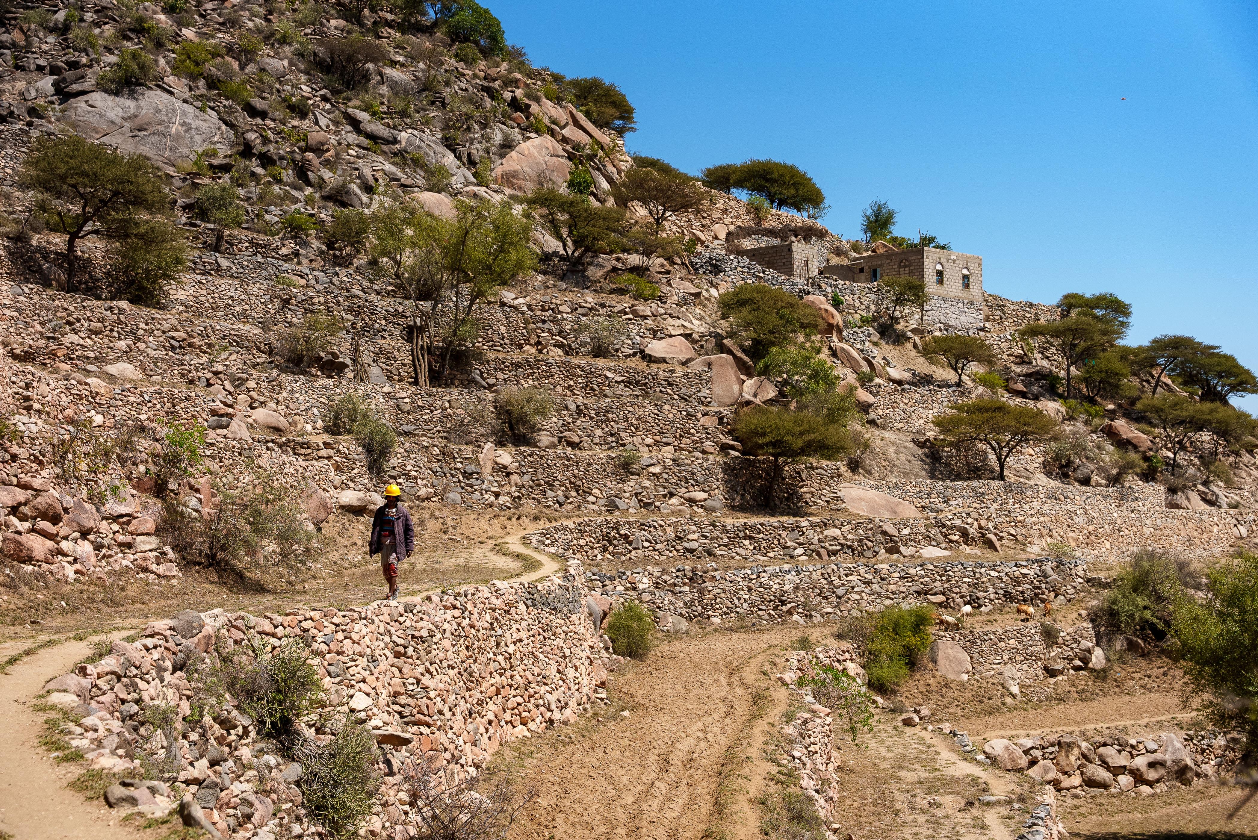 Aref* Lives in a Remote Area with Limited Access to Services
