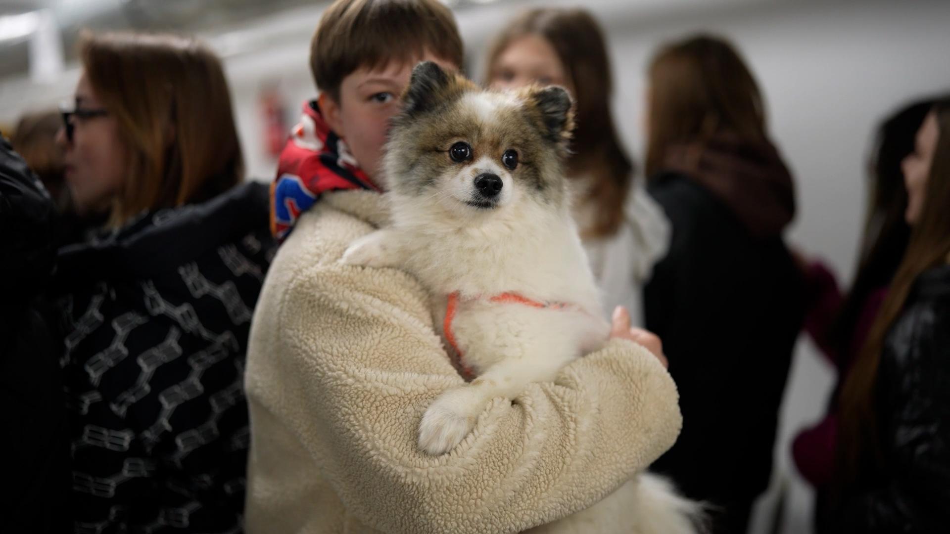 Chivas the Dog being held by a student