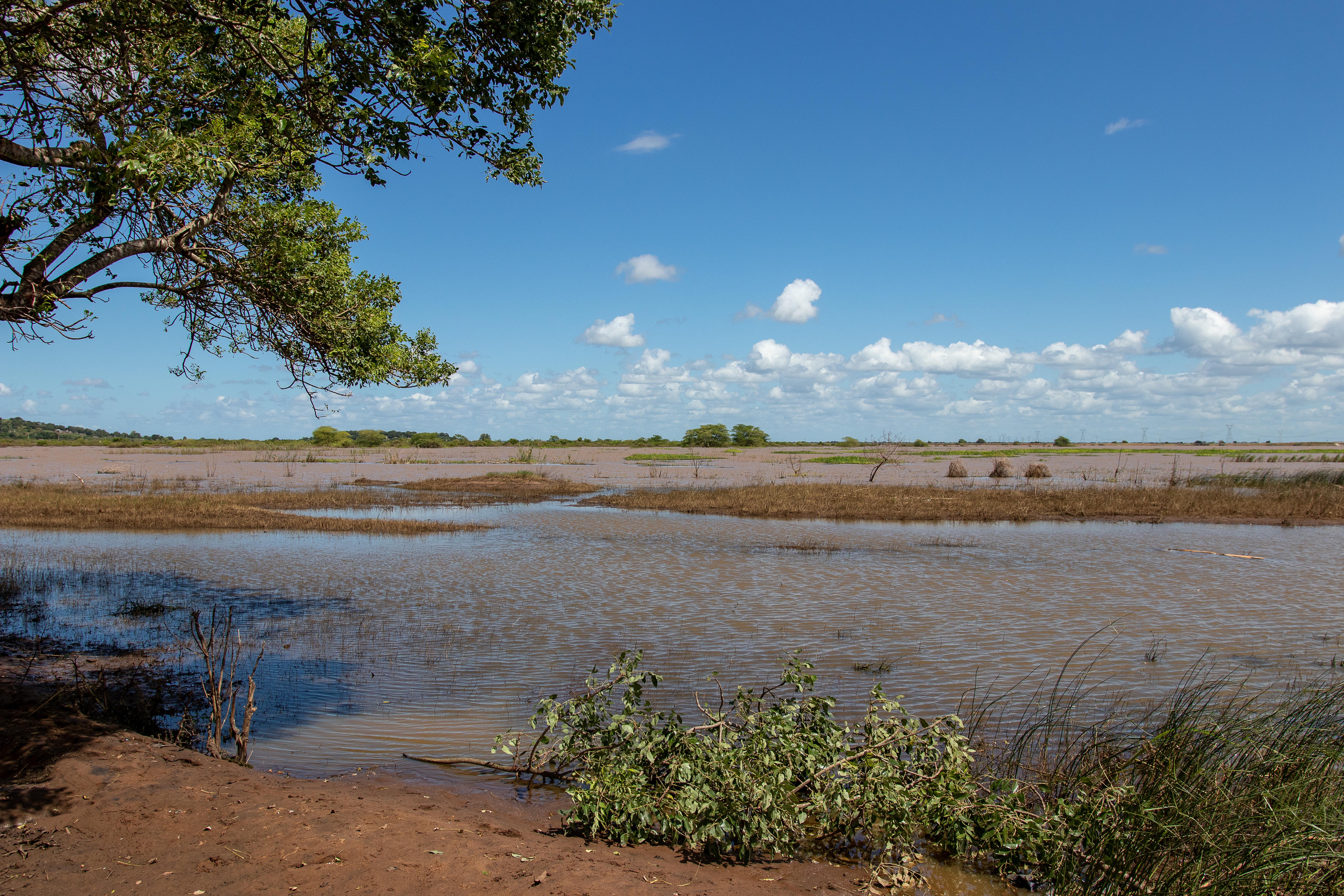 Flooded farms close to Lily's home