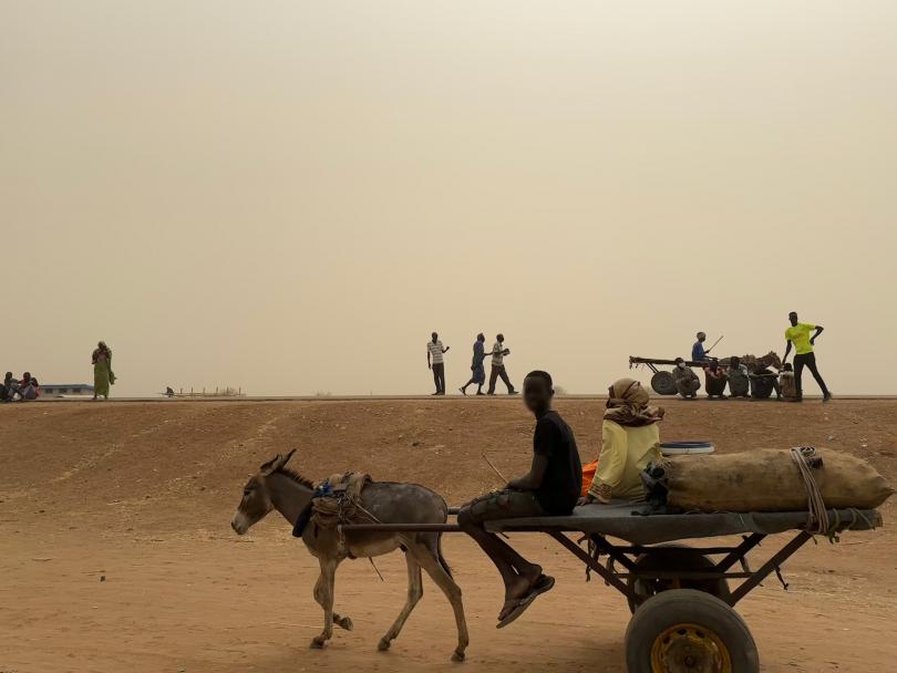 Donkey carts delivering goods and people over the border between Sudan and South Sudan
