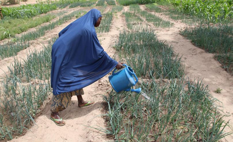 Woman watering a garden in Niger