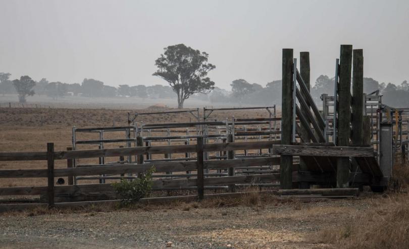 Smoke from the bushfires in Australia continues to blanket parts of Victoria and New South Wales