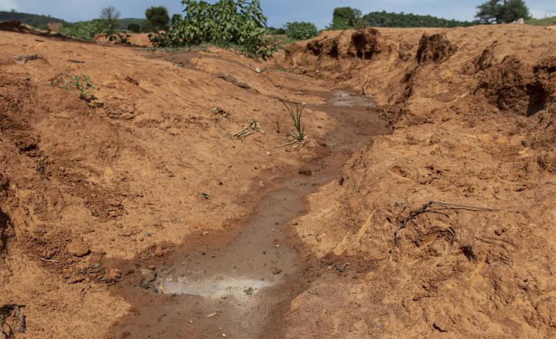 due to water shortages people are drinking from unsafe streams and dams