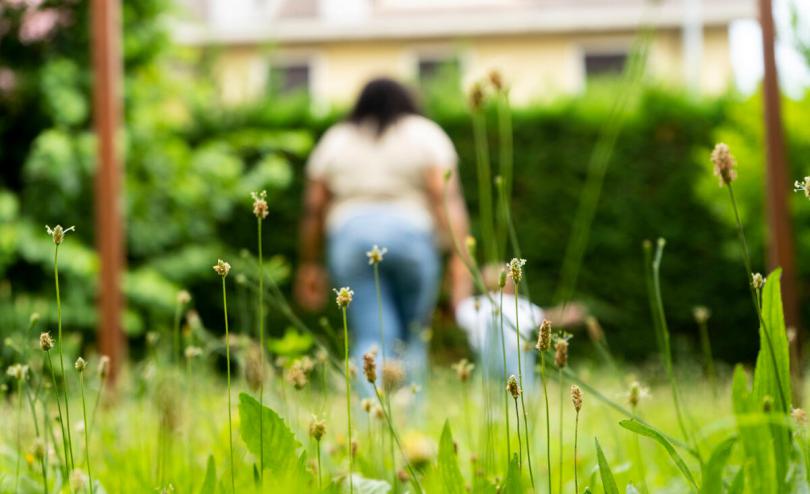 The Slave Girls Of The Flower Garden