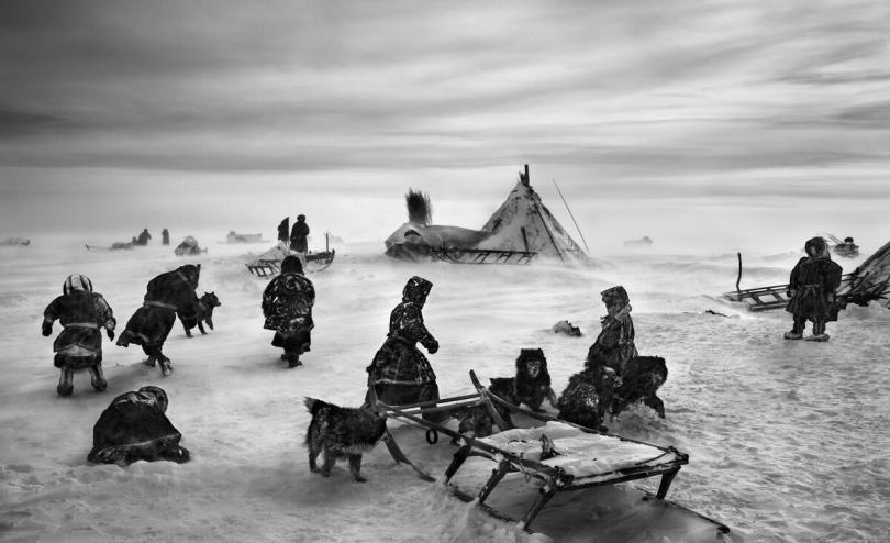  NENET NOMADS SIBERIA, RUSSIA, 2011 © Sebastião Salgado