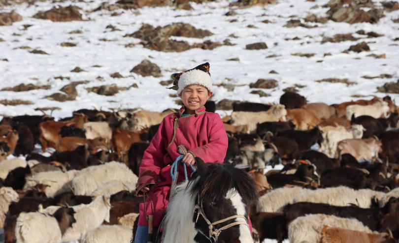 child riding a horse with livestock