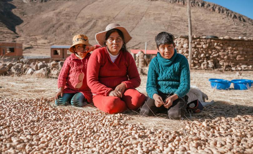 A portrait of Leydy, 6, her mother Nimia, 30, and brother Jhon, 11, while picking potatoes that they left to freeze-dry in the fields. Photo: Adriana Loureiro Fernandez / Save the Children