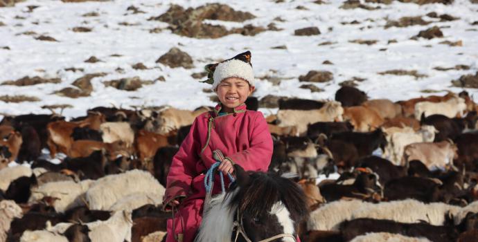MONGOLIA: Brutally cold winter kills livestock and leaves 80,000