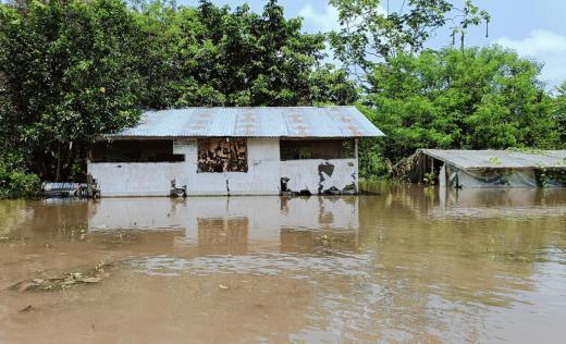Intense rains and floods close schools, destroy crops in the Peruvian Amazon 