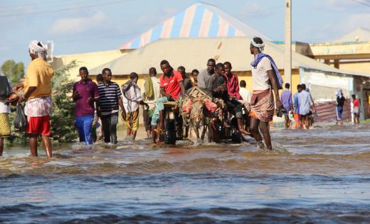  Displaced residents use donkeys to travel through flooded streets in Beladwayne, Somalia.