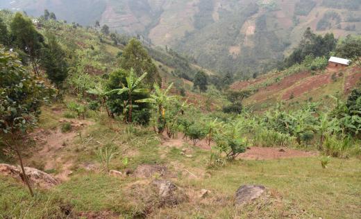 The remains of a house that was destroyed in a landslide, on a hillside in Burundi