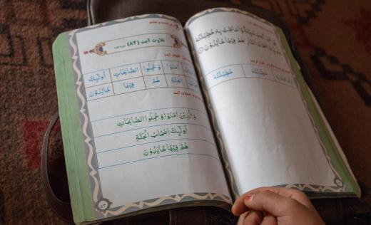 Damsa*, 10, reads her school textbook 