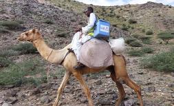 Vaccines reach a remote community located in a mountainous part of Aqiq, in Red Sea State, 2024