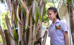       Milly, 9, peers into a mosquito cup that was placed in a local garden. She is among the community that hosts the project, though not direct beneficiary of Save the Children.   